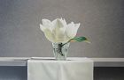 Lithograph Print by Guy Diehl - Still Life Magnolia