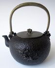 Japanese Iron Tea Kettle Tetsubin