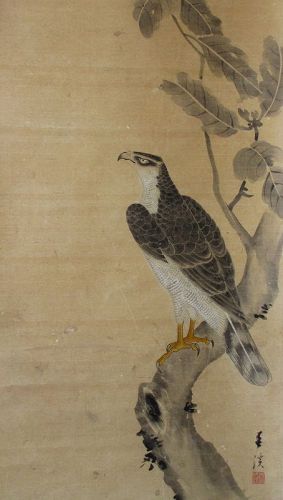 Japanese Antique Scroll Painting of a Hawk, signed Shunkei
