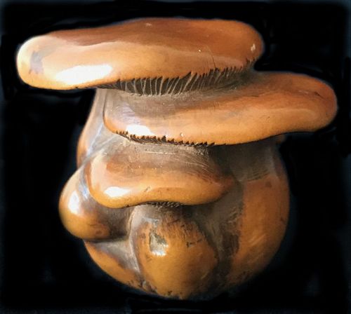 Rare Antique Japanese Mushroom Netsuke