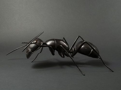 Japanese Contemporary Sculpture of an Ant