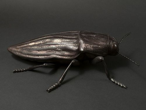 Japanese Contemporary Sculpture of a Beetle