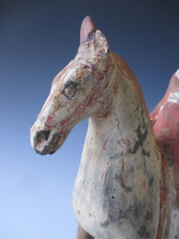 Chinese Tomb Pottery Figure of a Horse and Rider,  Tang Dynasty