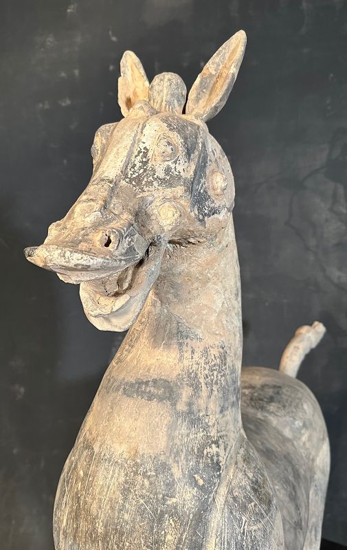 Rare Large Chinese Han Dynasty Tomb Pottery Horse