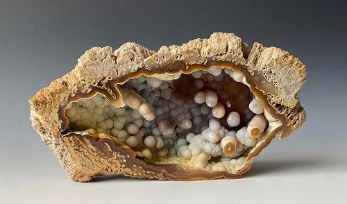 Agatized Fossil Coral Geode