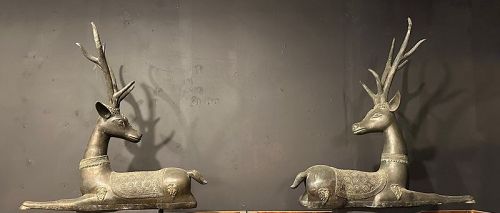 Pair of Bronze Thai resting Stags