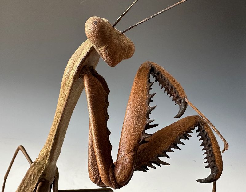 Contemporary Japanese Leather Praying Mantis