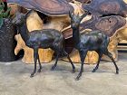 Antique Bronze Pair of Horned Roe Deer