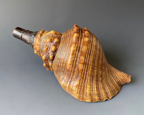 Japanese Antique Samurai  Horagai Shell Horn