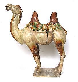 Fantastic Chinese Tang Dynasty Tomb Pottery Camel