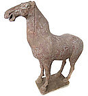 Chinese T'ang Dynasty Tomb Figure of Horse